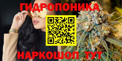 кокс Будённовск