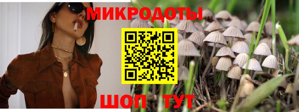 Отрадное  Галлюциногенные грибы мухоморы  Псилоцибиновые грибы прущие грибы  Вход с VPN 